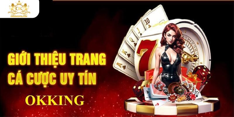 Tổng quát vài nét cơ bản nhất về nền tảng OKKING 